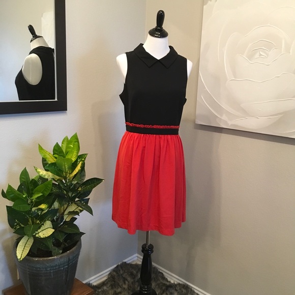 Collared Fitted Kensie Dress - Picture 1 of 5